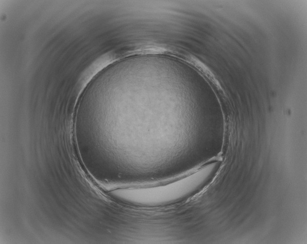 X0000083041186200702161659