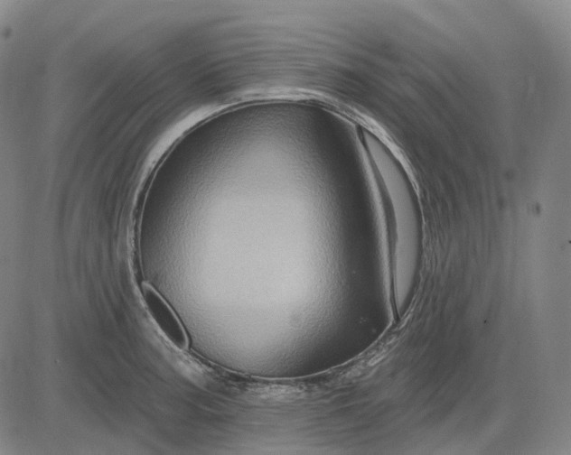 X0000083041187200702161659