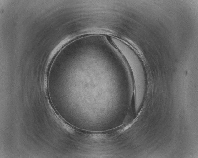 X0000083041188200702161659