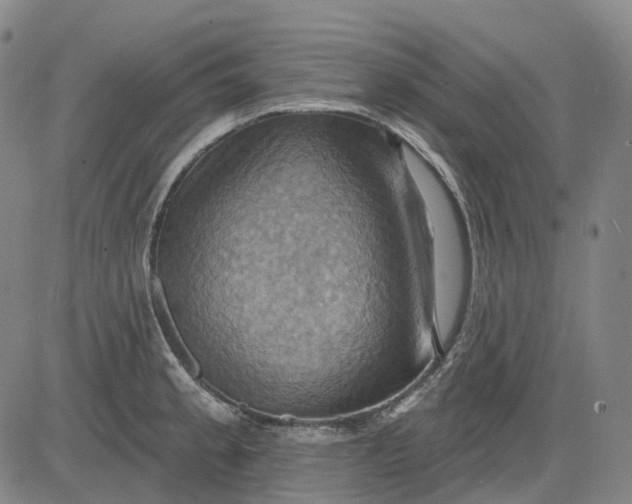 X0000083041189200702161659