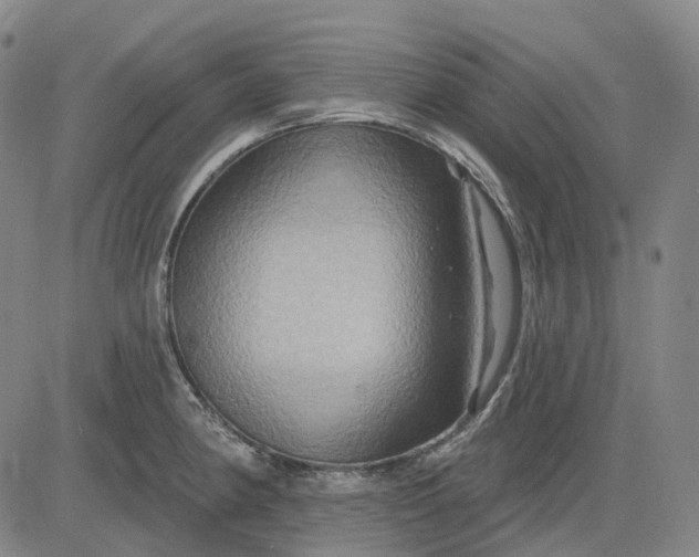 X0000083041190200702161658