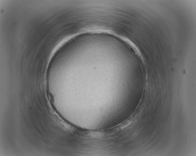 X0000083041191200702161658