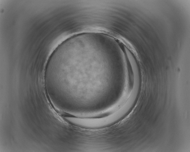 X0000083041192200702161658