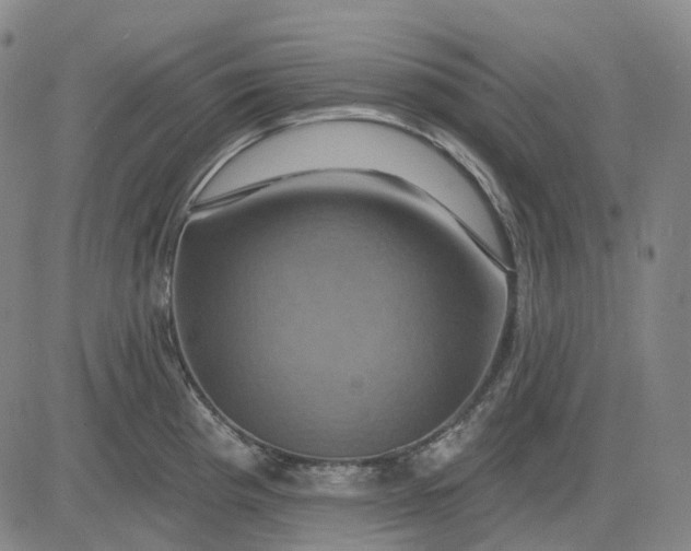 X0000083041193200702161658