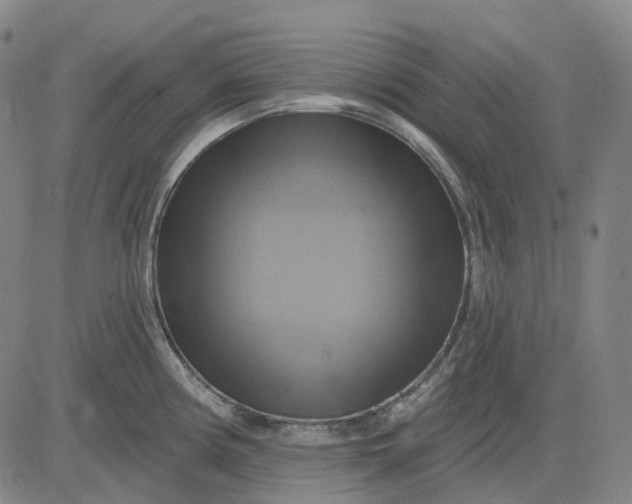 X0000083041194200702161658