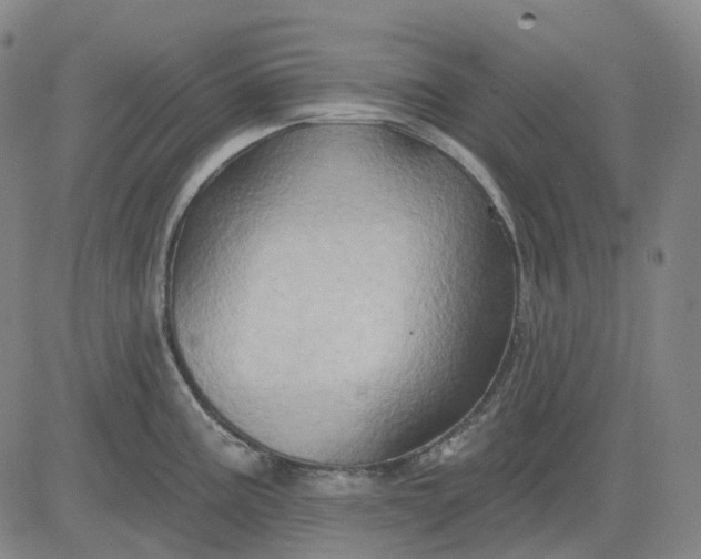 X0000083041195200702161658