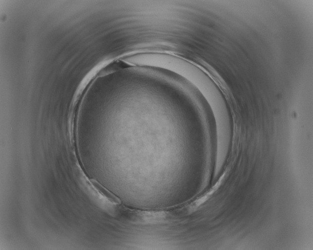 X0000083041196200702161658