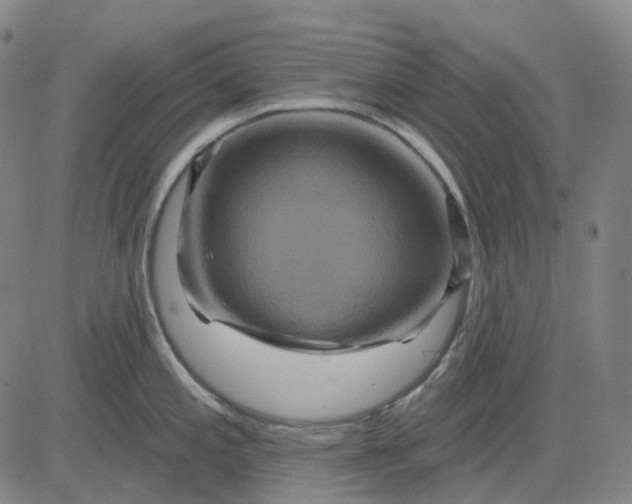 X0000083041197200702161658