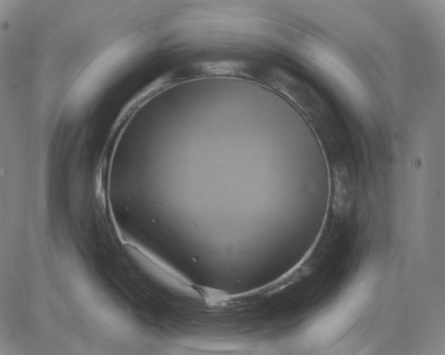 X0000083041198200702161658