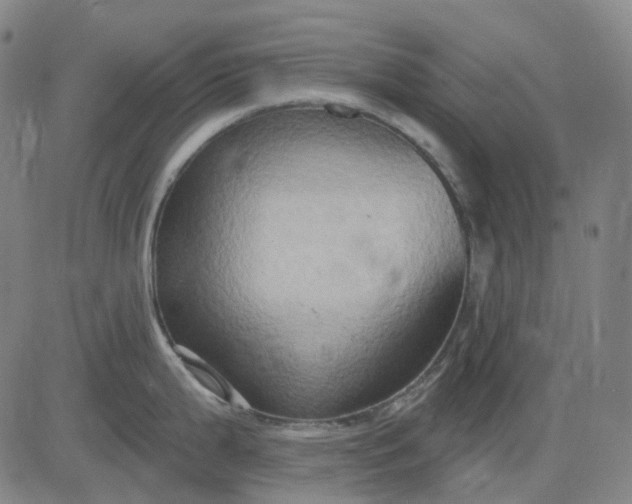 X0000083041199200702161658