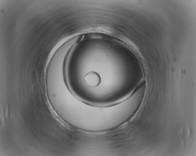 X0000083041200200702161658