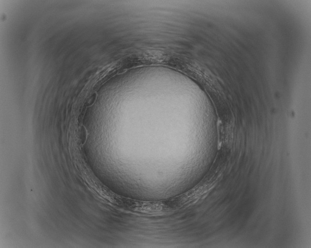 X0000083041201200702161658