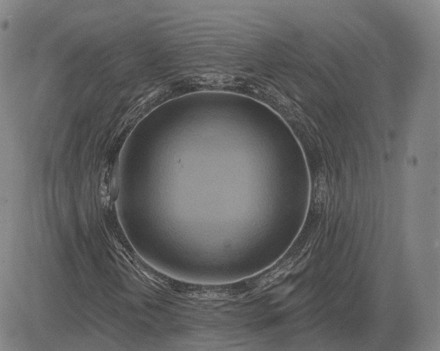 X0000083041202200702161658