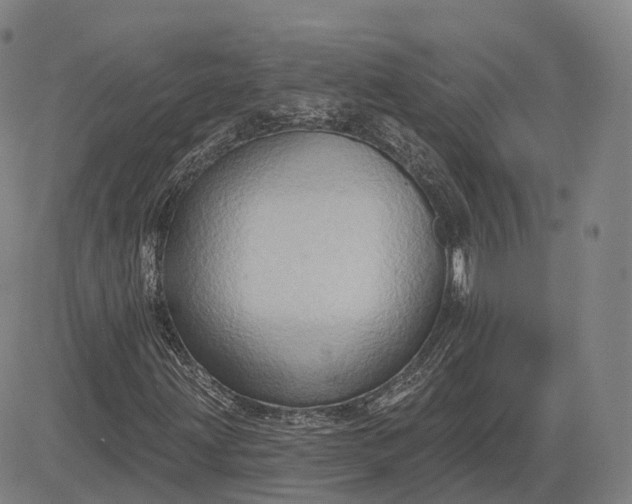 X0000083041203200702161658