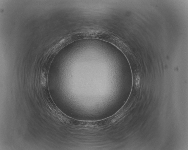 X0000083041204200702161658