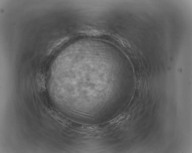 X0000083041205200702161658