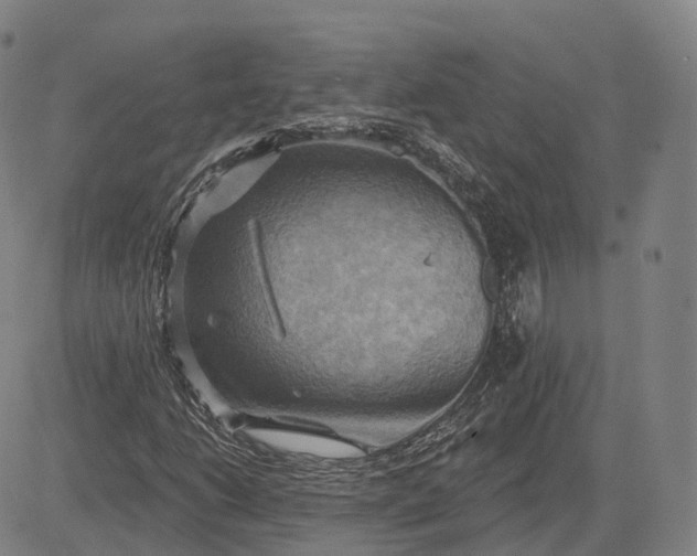 X0000083041206200702161658