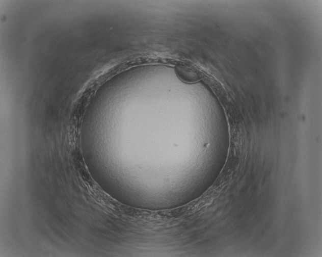 X0000083041207200702161658