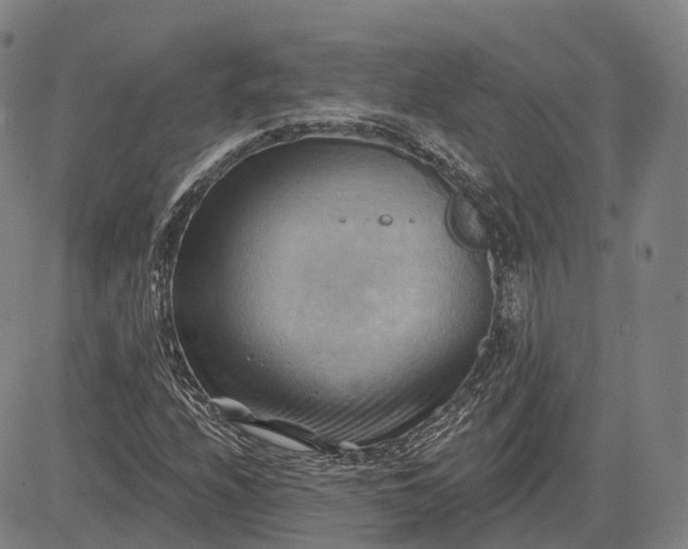 X0000083041208200702161658