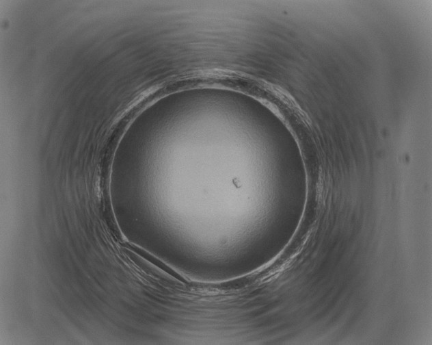 X0000083041209200702161658