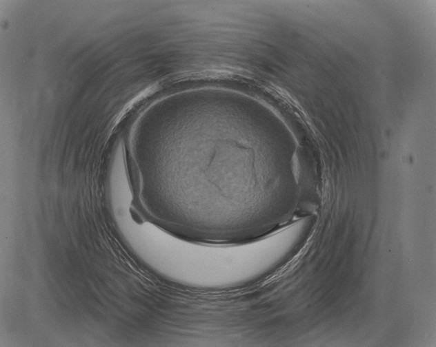 X0000083041210200702161658