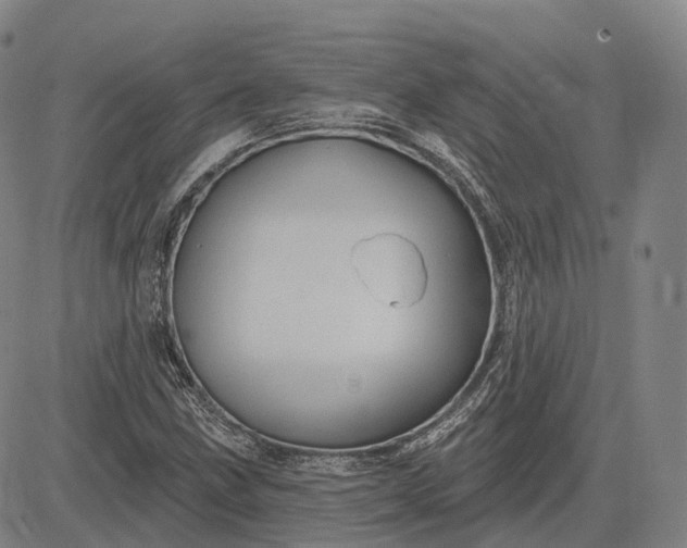 X0000083041211200702161658