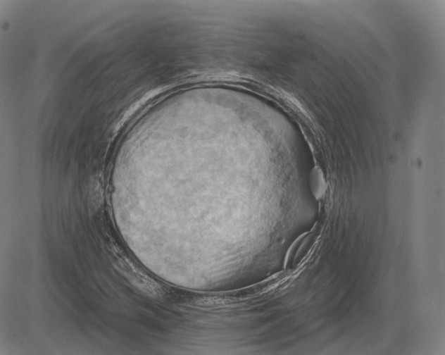 X0000083041212200702161658