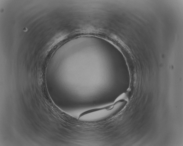 X0000083041213200702161658