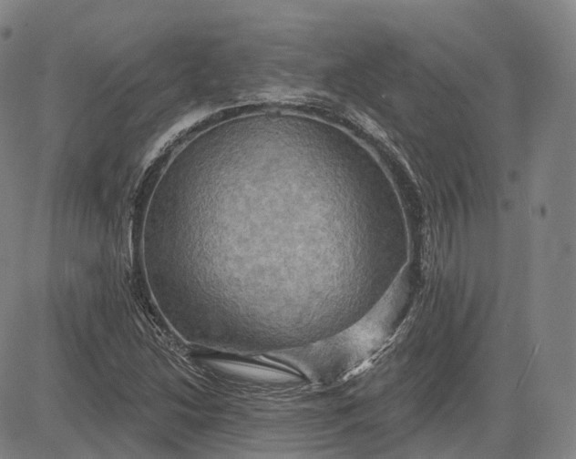 X0000083041214200702161658