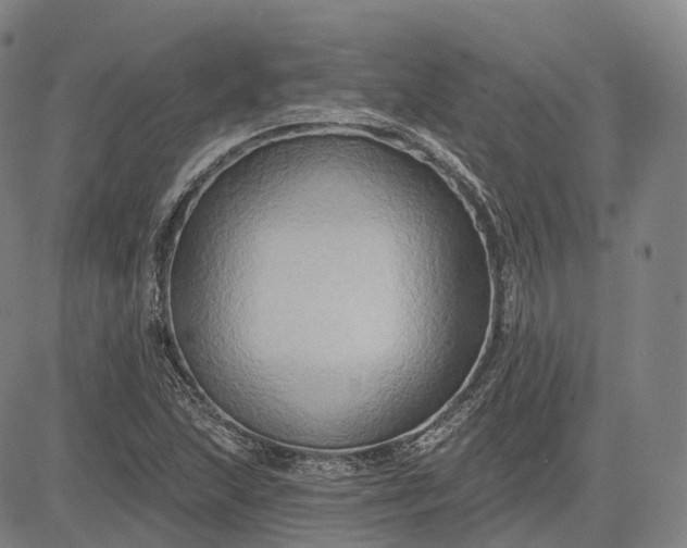 X0000083041215200702161658