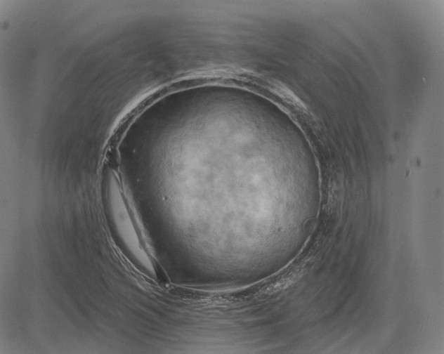 X0000083041216200702161658