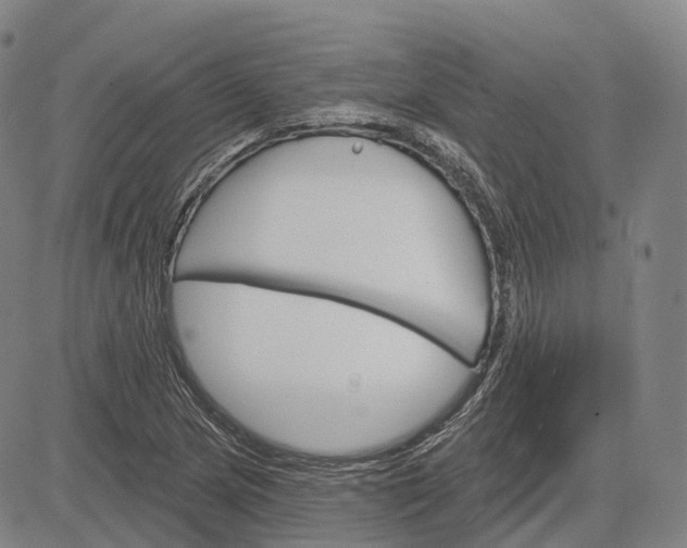 X0000083041217200702161658