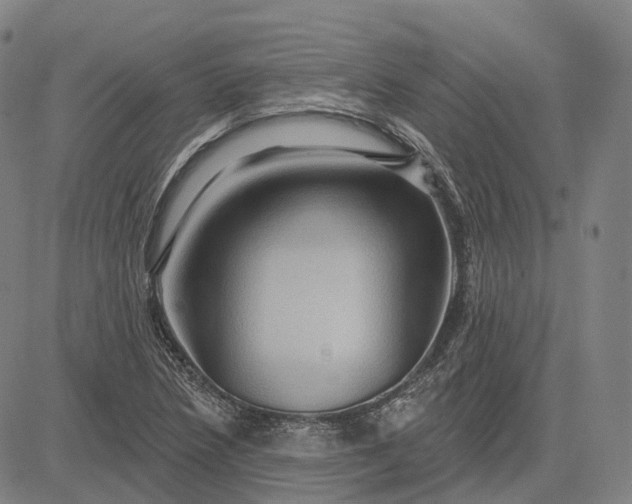 X0000083041218200702161658