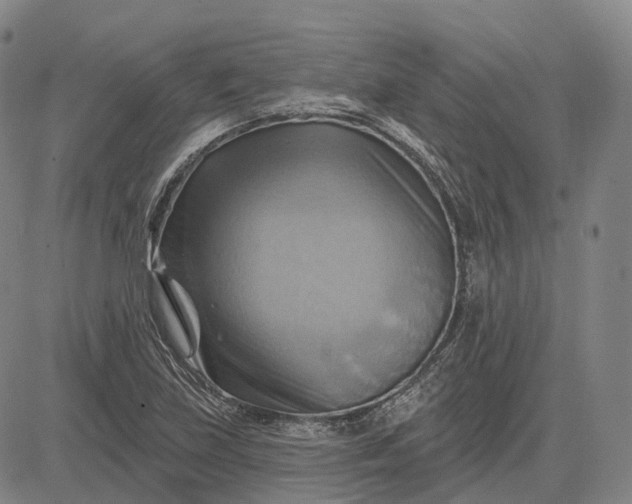 X0000083041219200702161658