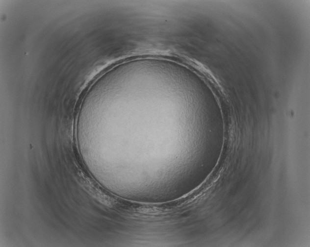 X0000083041220200702161658