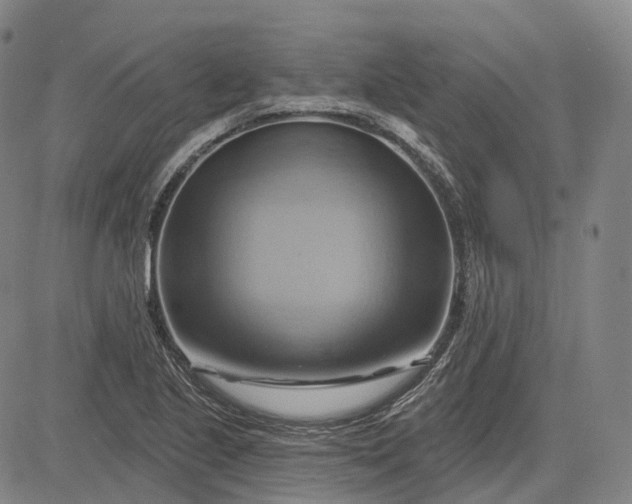 X0000083041221200702161658