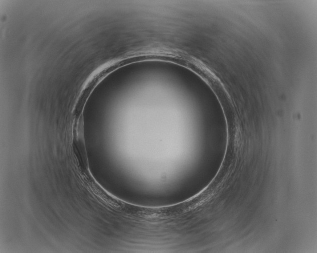 X0000083041222200702161658