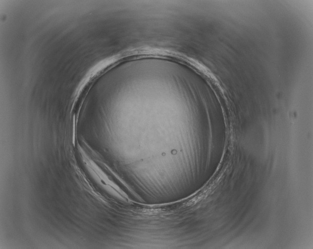 X0000083041223200702161658