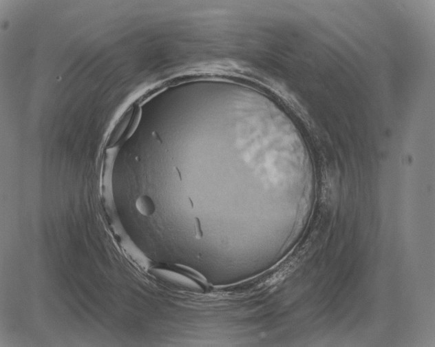 X0000083041224200702161658