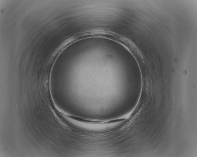 X0000083041225200702161658