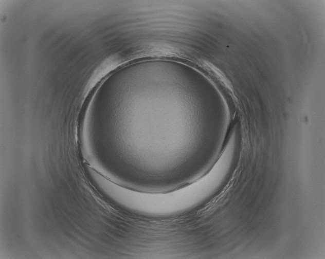 X0000083041226200702161658