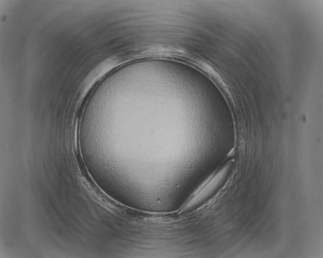 X0000083041227200702161658