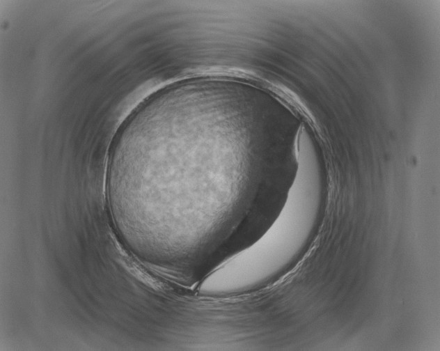 X0000083041228200702161658