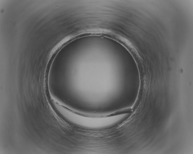 X0000083041229200702161658