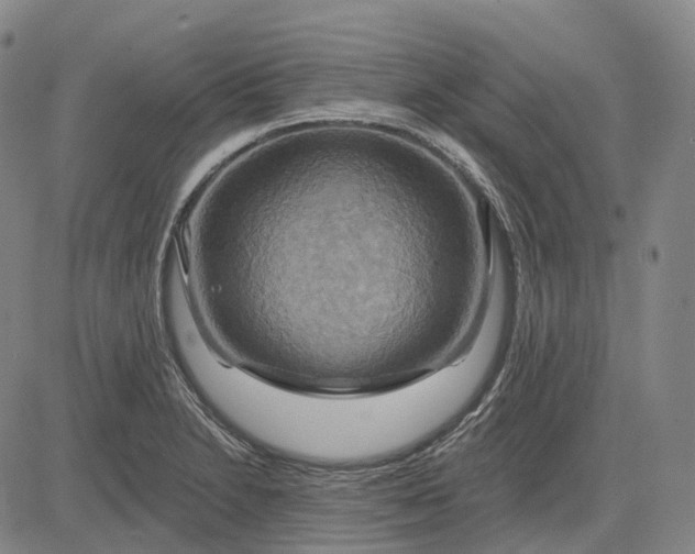 X0000083041230200702161658