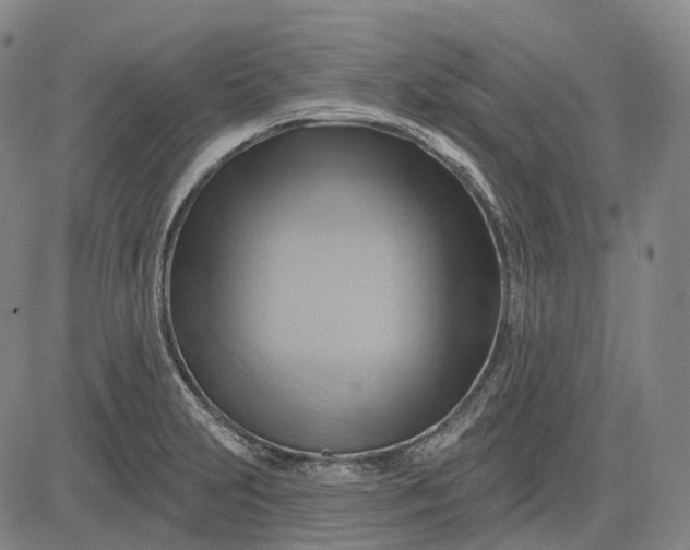 X0000083041231200702161658