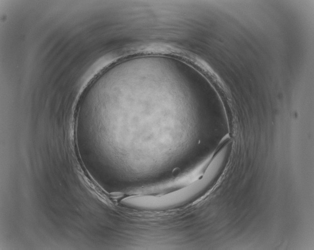 X0000083041232200702161658