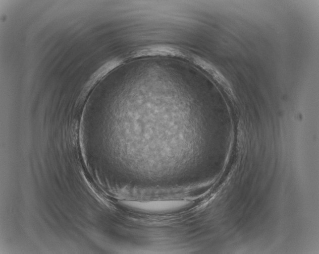 X0000083041233200702161658