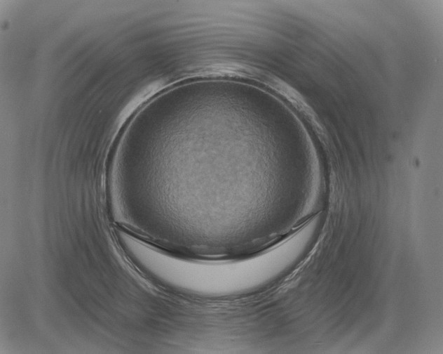 X0000083041234200702161658