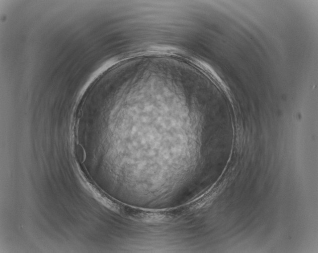 X0000083041235200702161658